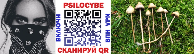 где купить наркотик  Красный Сулин  Галлюциногенные грибы Magic Shrooms 